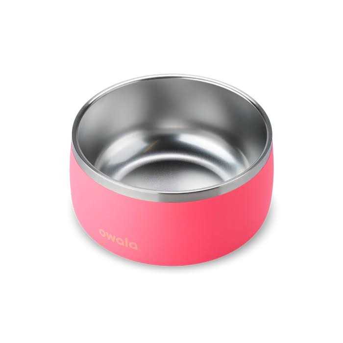 Owala Pet Bowl Durable Stainless Steel Food & Water Bowl Pink - Healthber