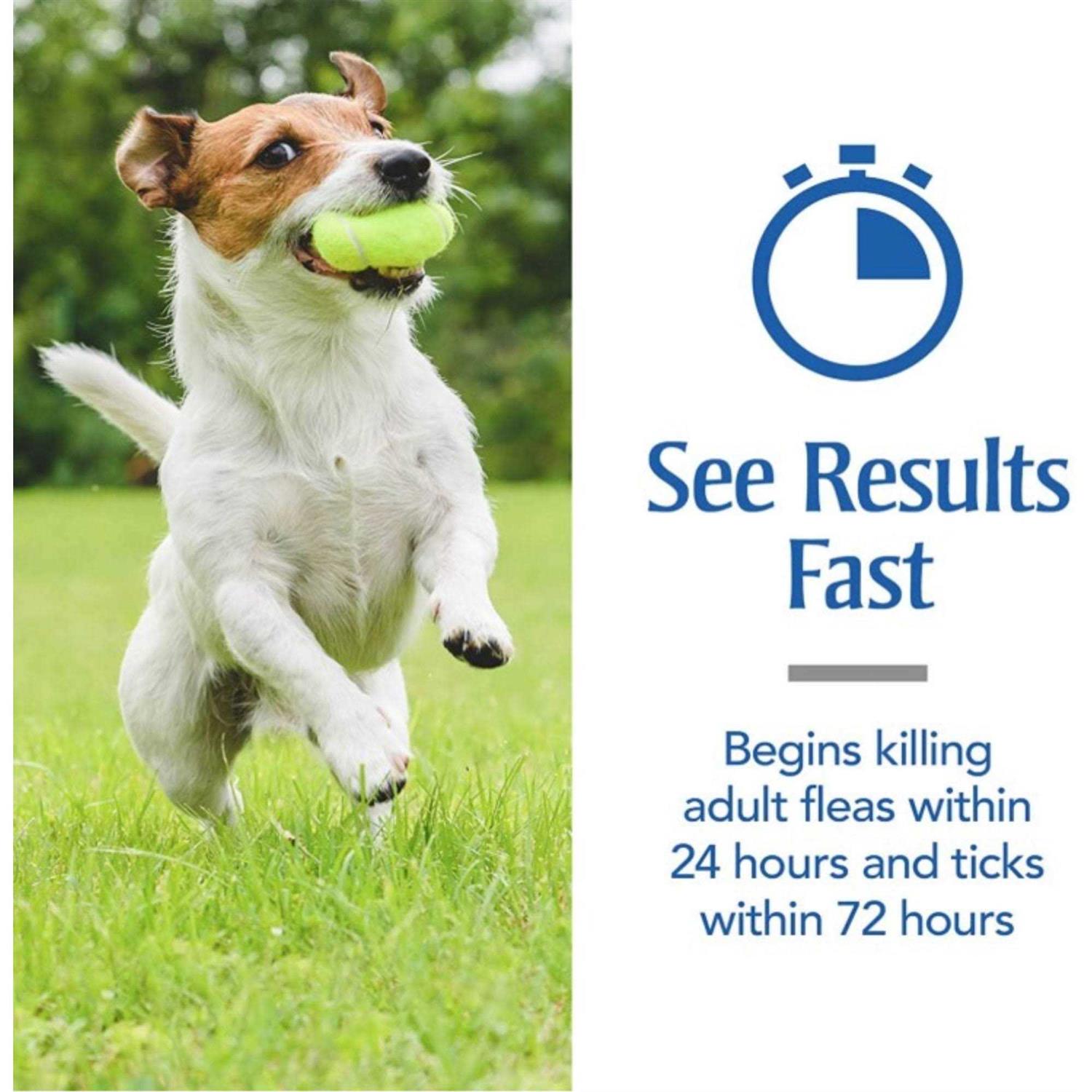 PetArmor Plus Oatmeal Shampoo for Dogs - Healthber