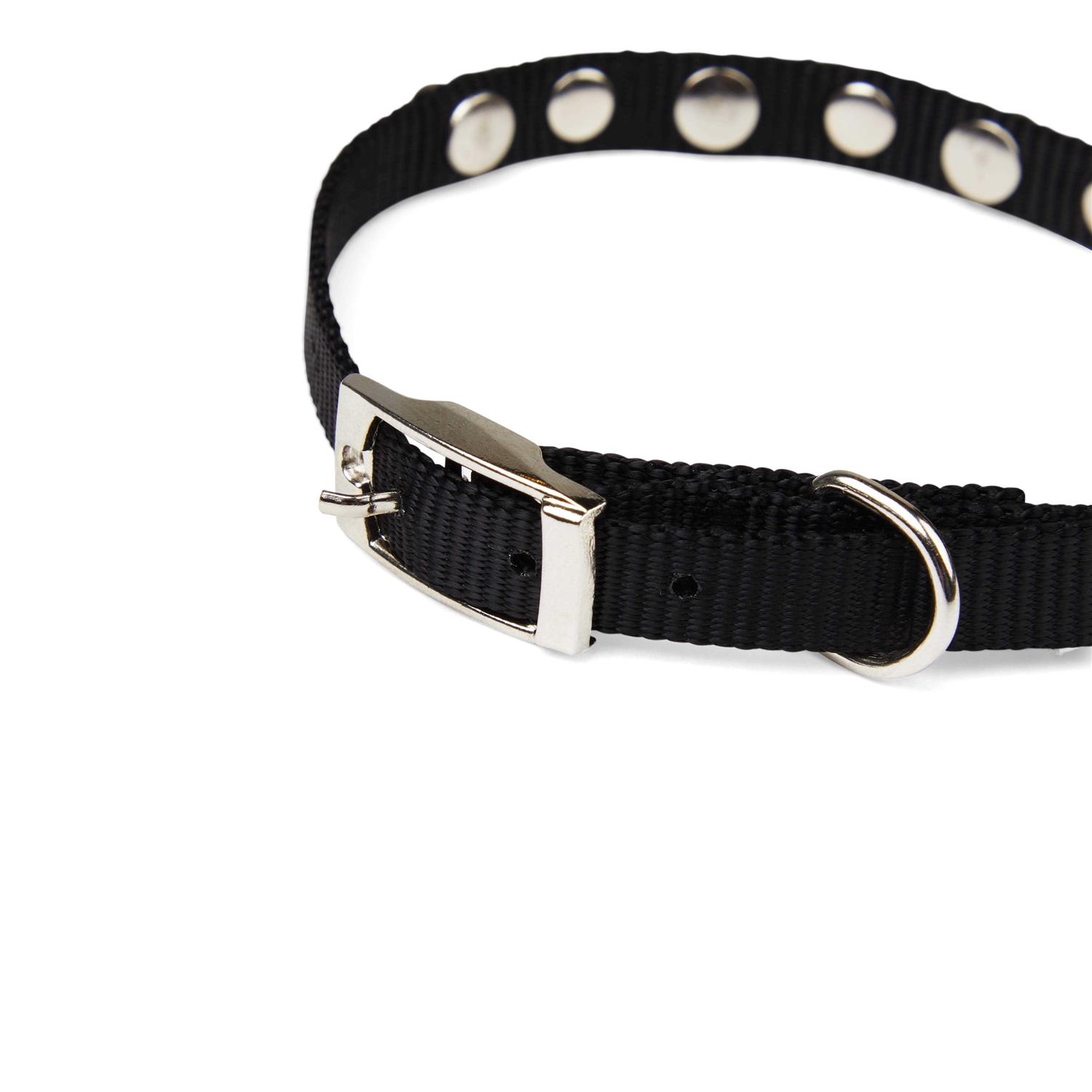 YOULY Black Bling Dog Collar - Healthber