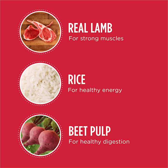 Iams Proactive Health Adult Dry Dog Food Lamb Rice - Healthber