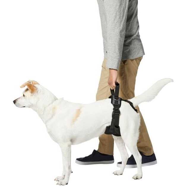 Frisco Rear Lift Handicapped Support Dog Harness - Healthber