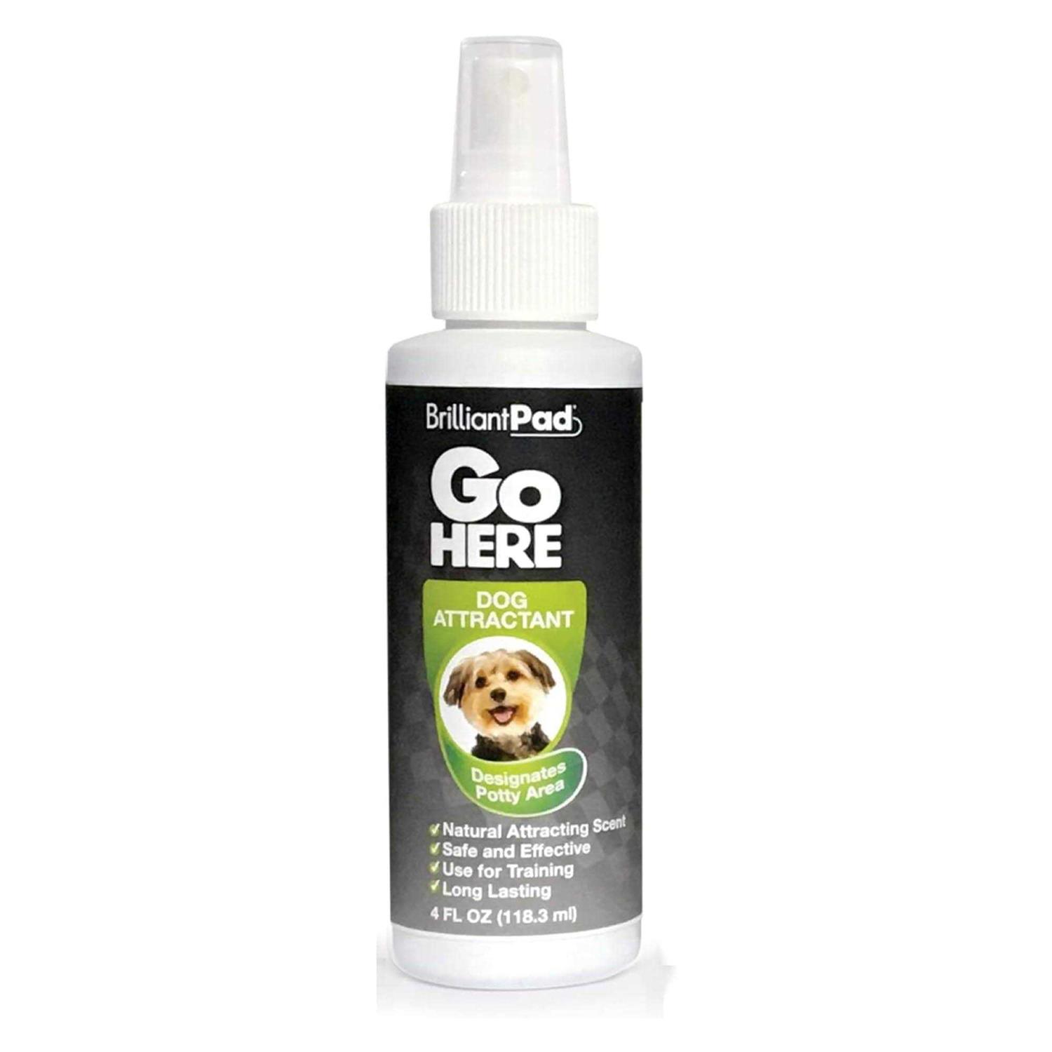 Brilliantpad ‘Go Here!’ Dog Potty Attractant Spray - Healthber