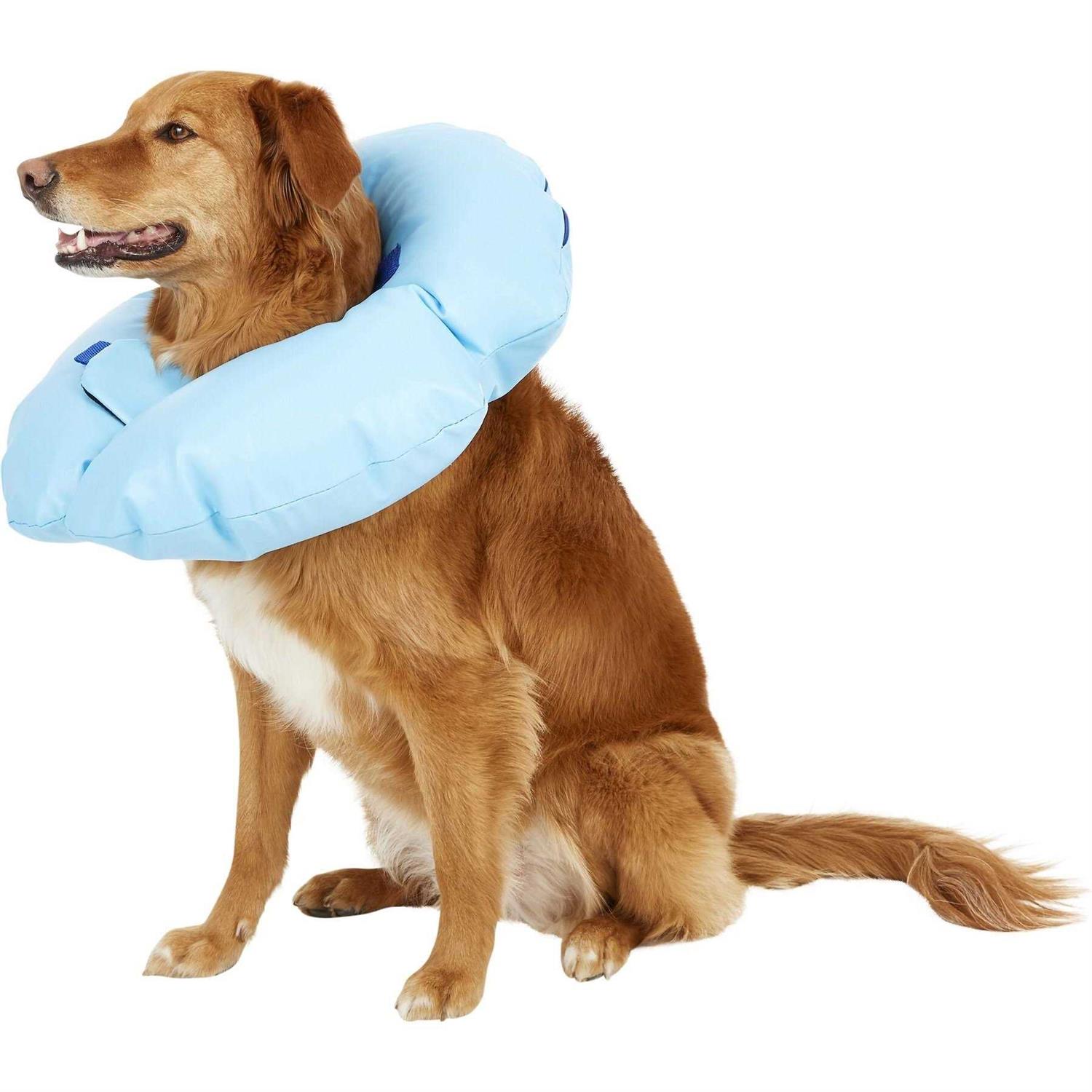 Dogswell Stay Rite Xtra Strong Inflatable Recovery Dog Collar - Healthber