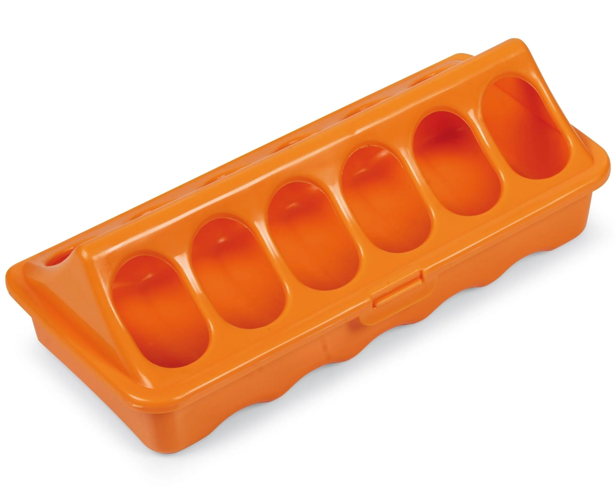 Ground Chicken Feeder, Small - Healthber