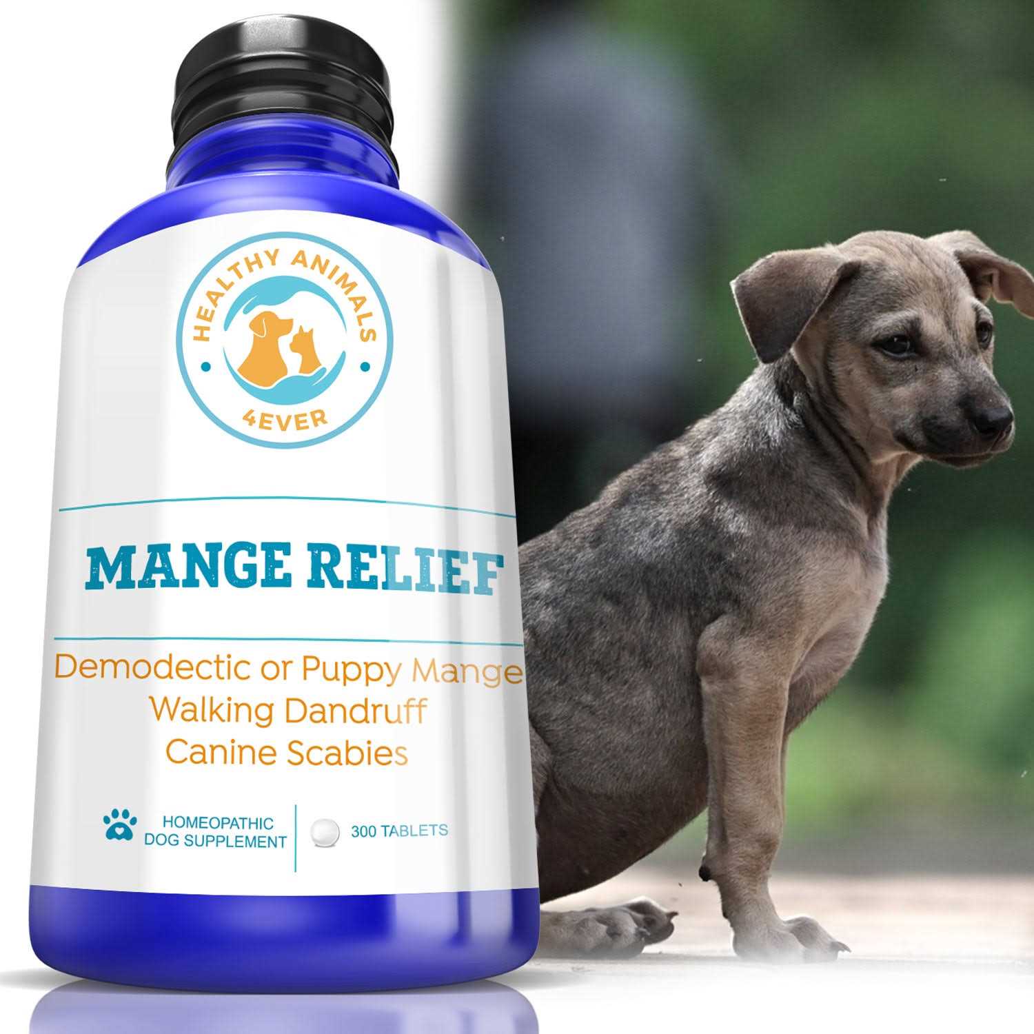 Mange Relief for Dogs Treatment for Itchiness - Healthber