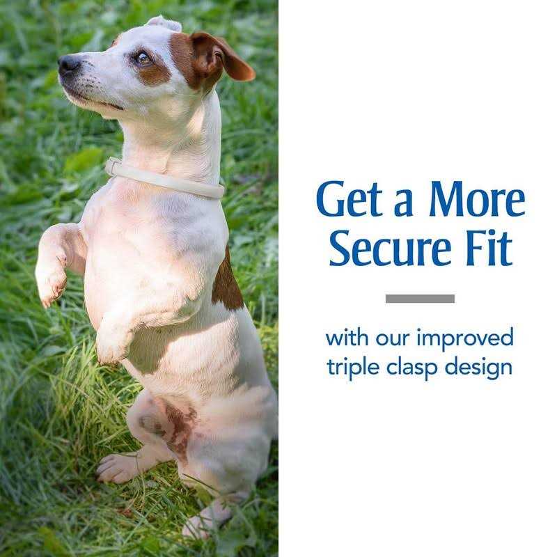PetArmor Plus Flea & Tick Collar for Dogs - Healthber