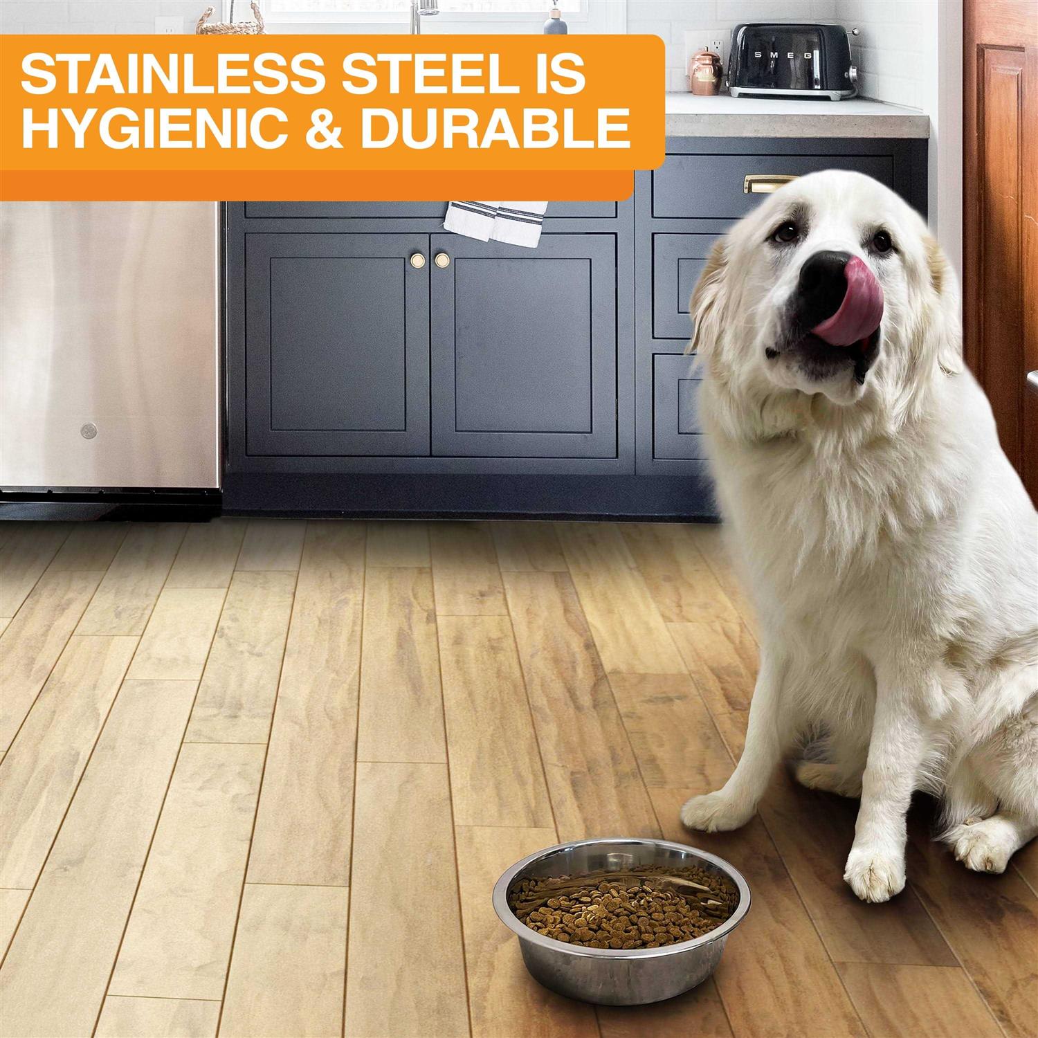 Neater Pet Brands Stainless Steel Dog and Cat Bowls Neater Feeder Deluxe Extra Replacement Bowl - Healthber