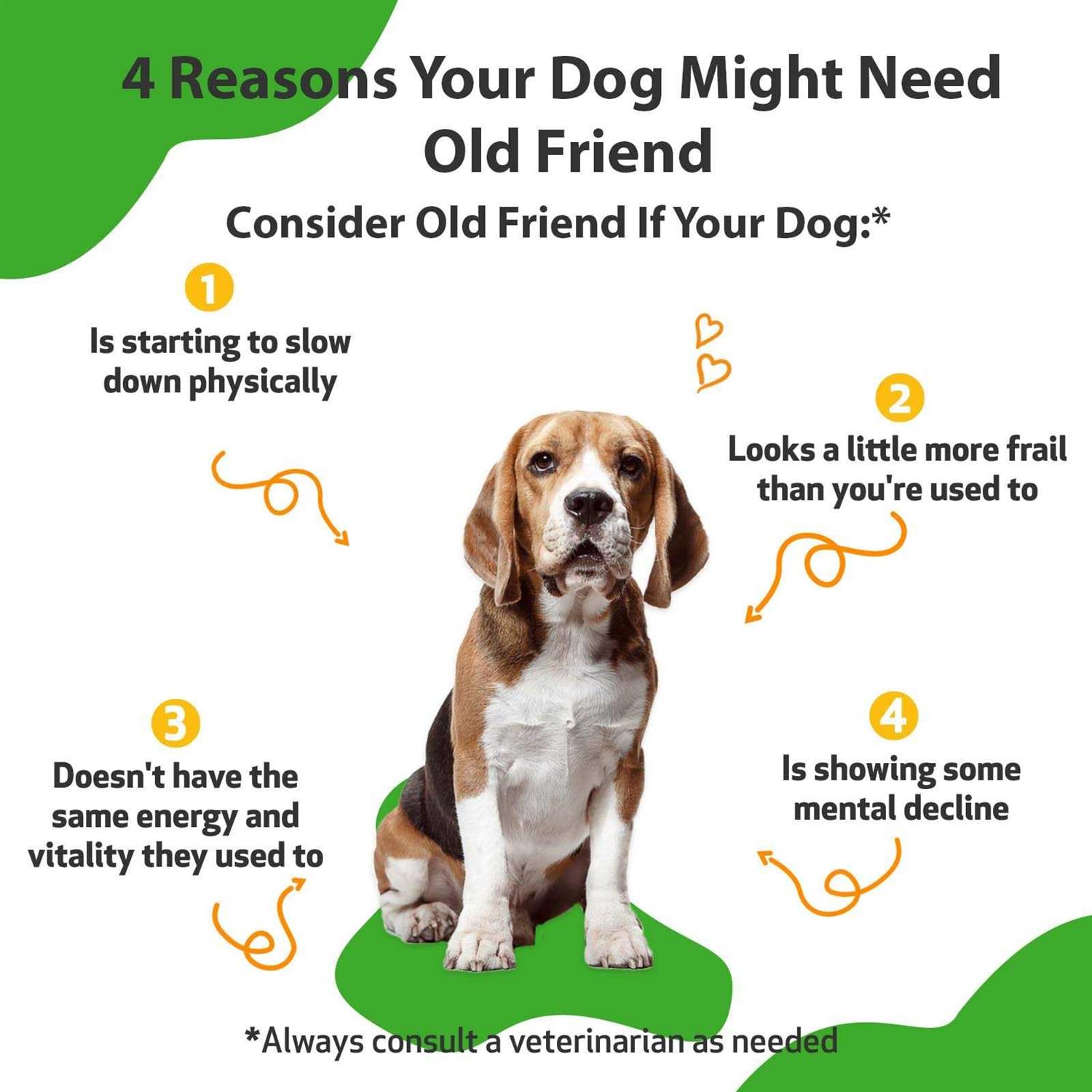 Pet Wellbeing Old Friend for Senior Dogs - Healthber
