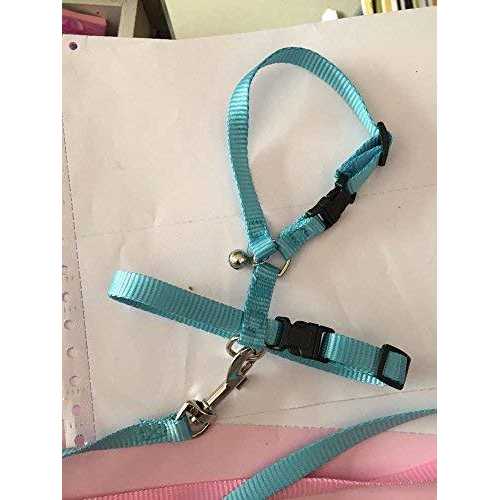 hokmly Adjustable Small Pet Hedgehog Harness for Training Playing Traction Rope - Healthber