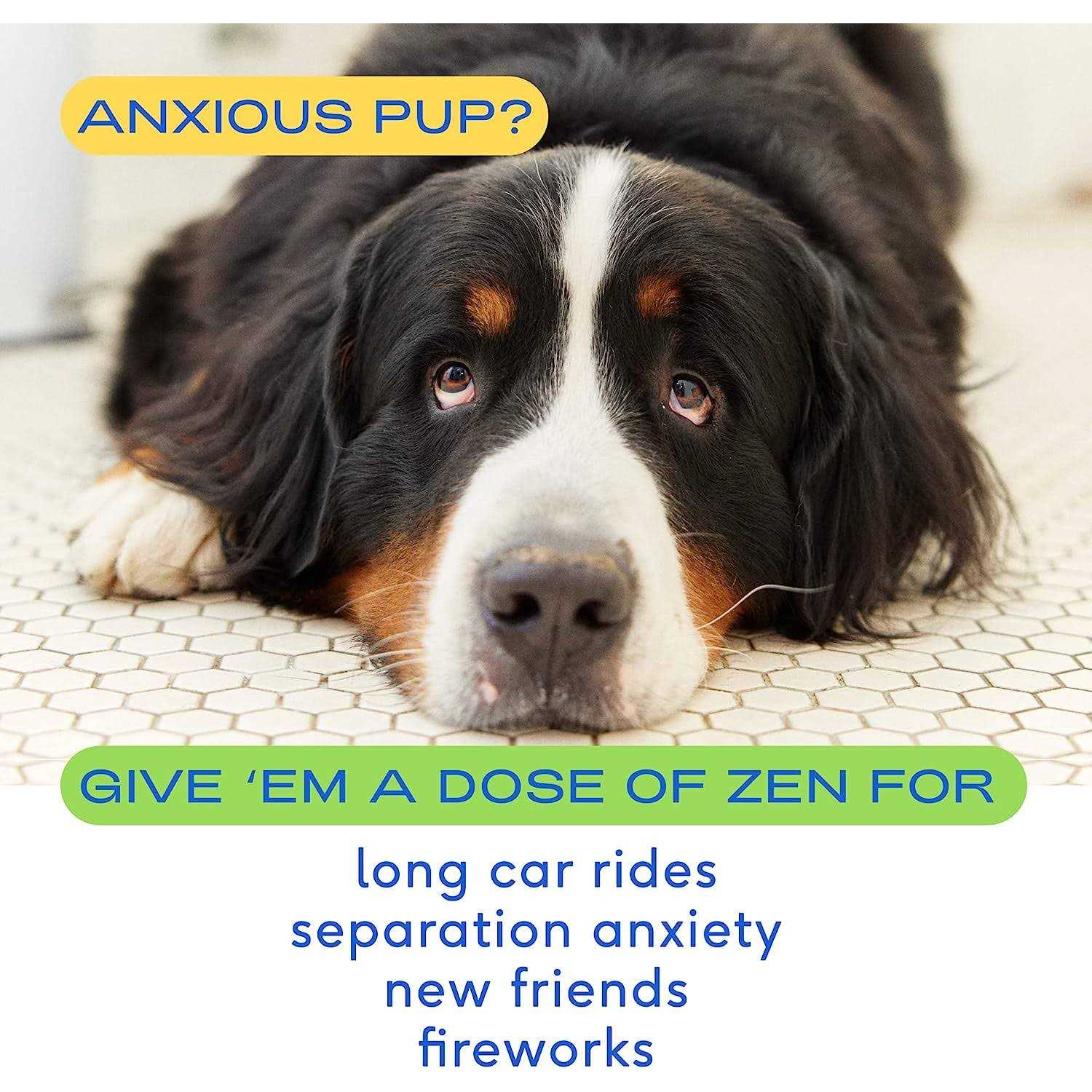Native Pet Calming Chews for Dogs - Healthber