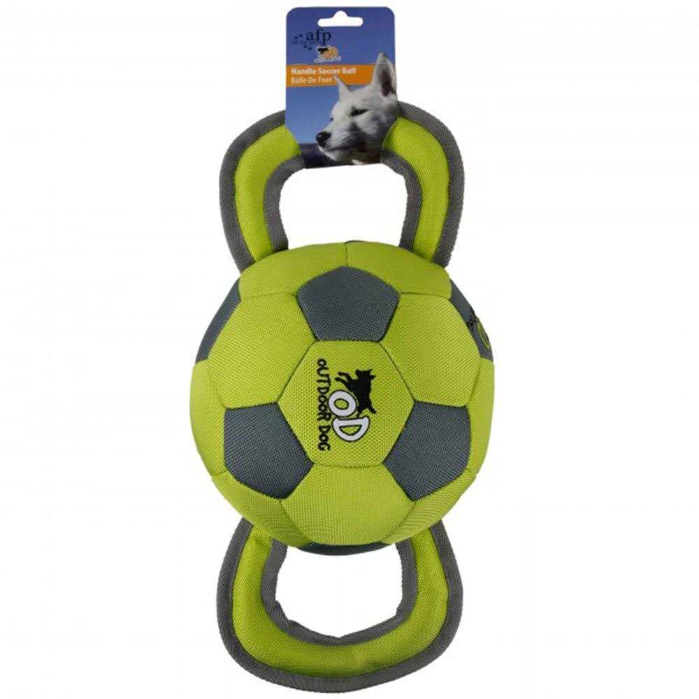 All for Paws Ballistic Handle Ball - Healthber