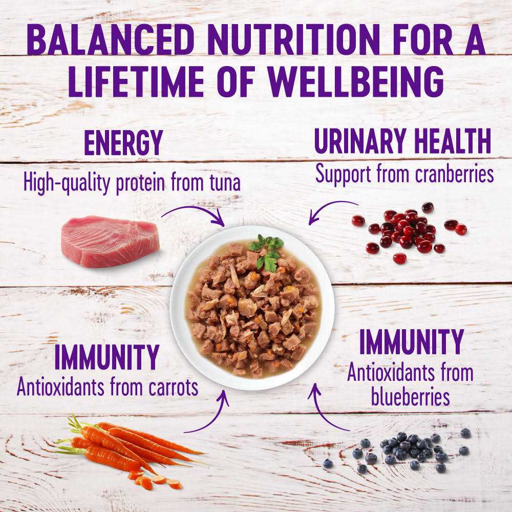 Wellness Healthy Indulgence Natural Grain Free Gravies and Gravy Cat Food Pouch - Healthber