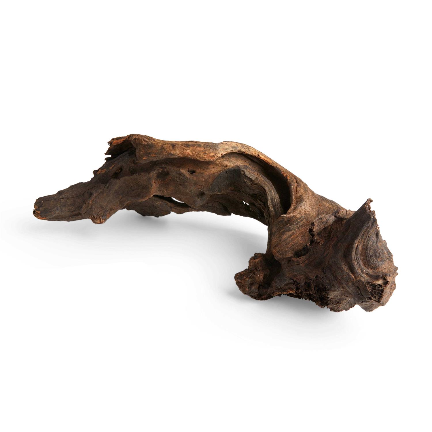 Imagitarium Driftwood - Healthber