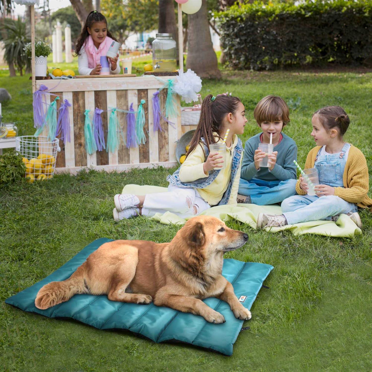 Go Gear by Max & Marlow Portable Waterproof Roll Up Dog Mat Bed - Healthber