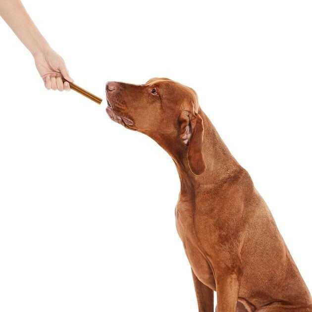 True Acre Foods All-Natural Dental Chew Sticks - Healthber