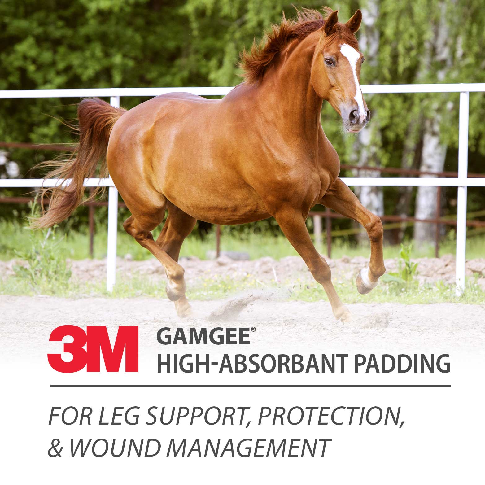 Gamgee Highly Absorbent Padding - Healthber