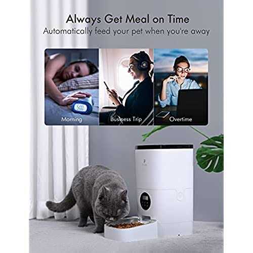 PETLIBRO Automatic Cat Cat Food Dispenser - Healthber
