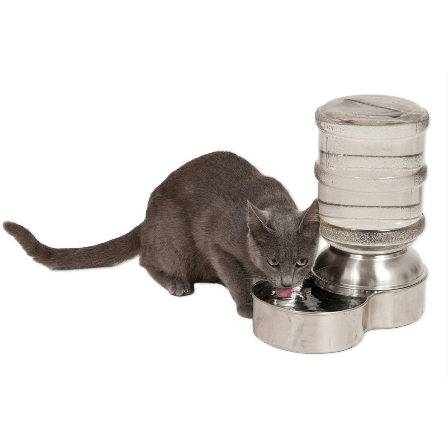 Petmate Replendish Stainless Steel Waterer - Healthber