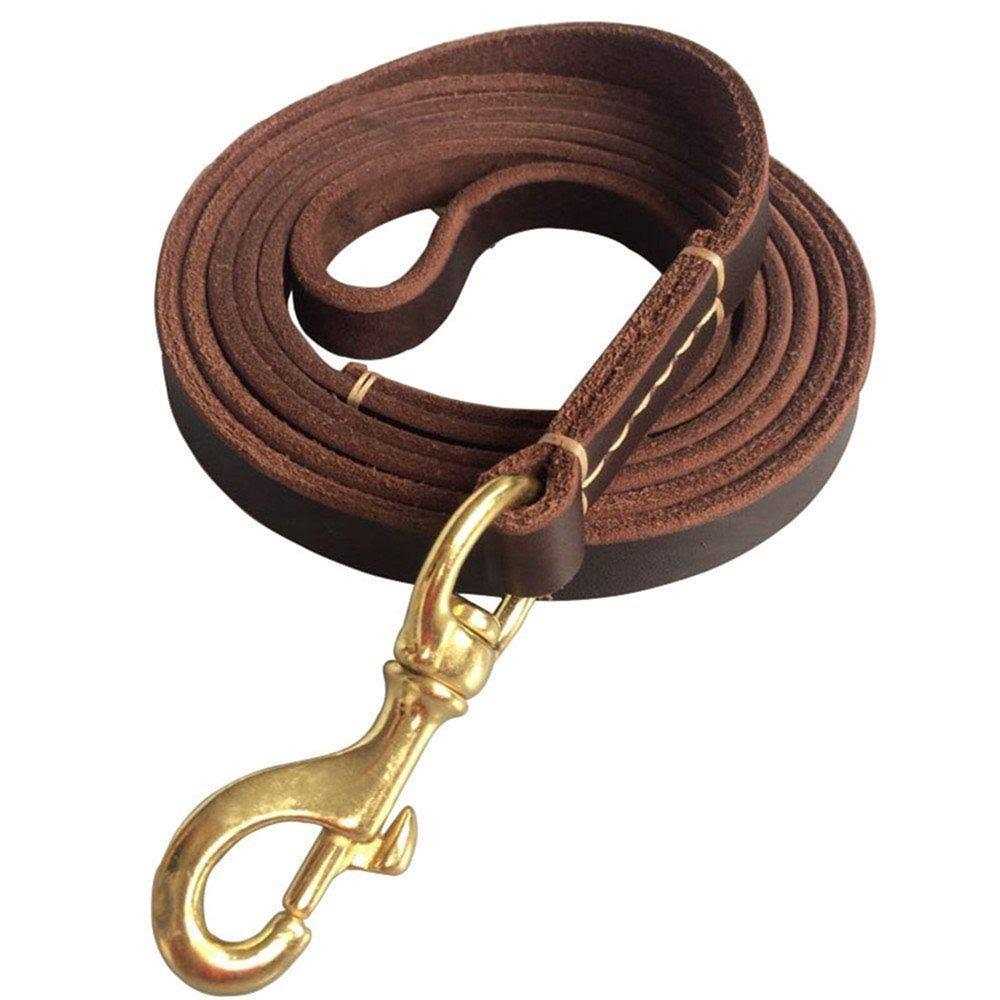 FAIRWIN Leather Dog Leash 6 Foot Braided Heavy Duty Training Leash for Large Medium Small Dogs - Healthber