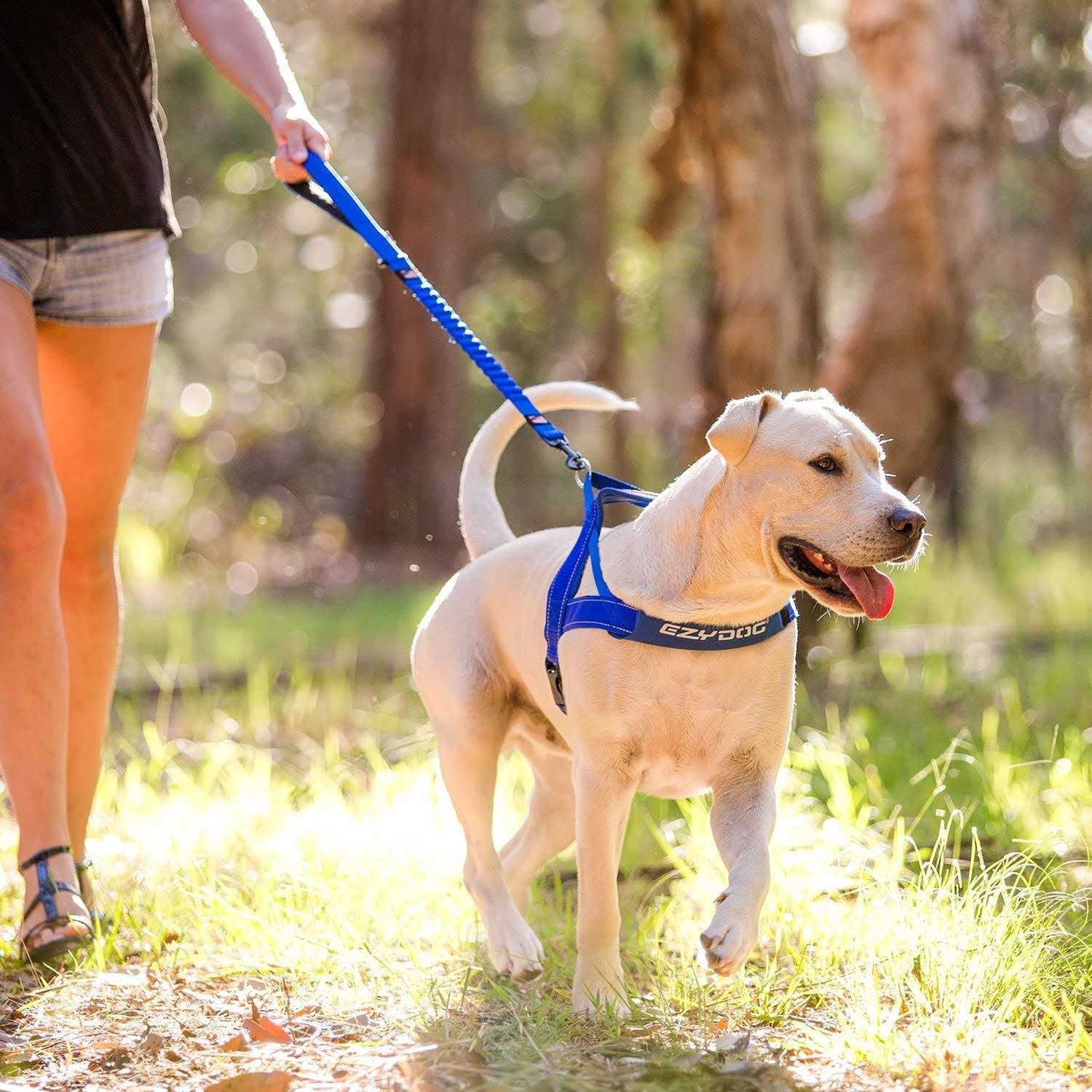 EzyDog Zero Shock Dog Leash - Healthber
