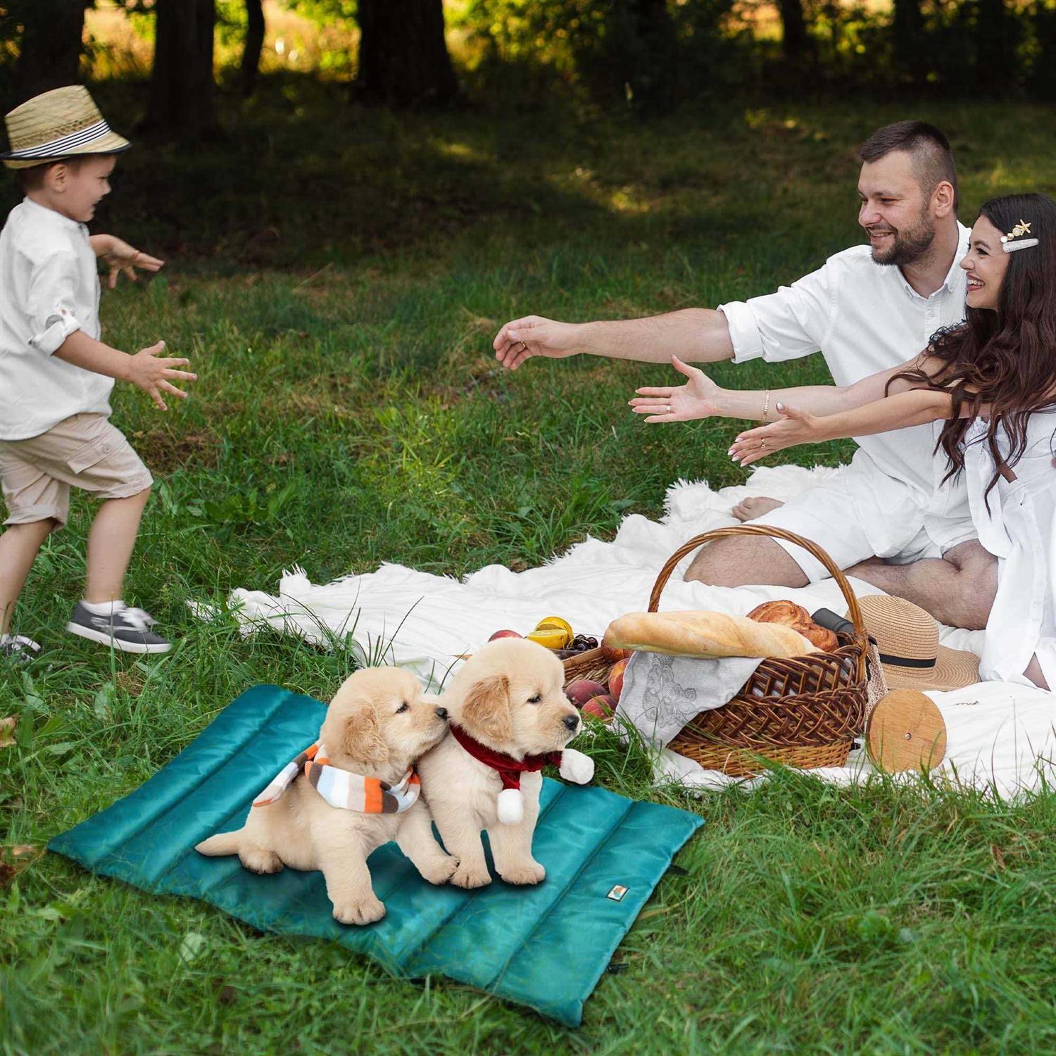 Go Gear by Max & Marlow Portable Waterproof Roll Up Dog Mat Bed - Healthber