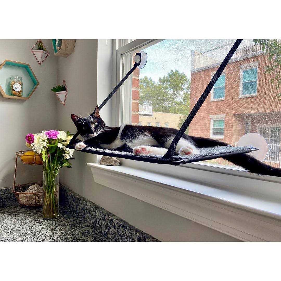 K&H Pet Products EZ Mount Window Kitty Sill - Healthber