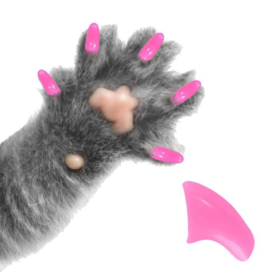 Soft Nail Caps for Cats Pretty Claws - Healthber