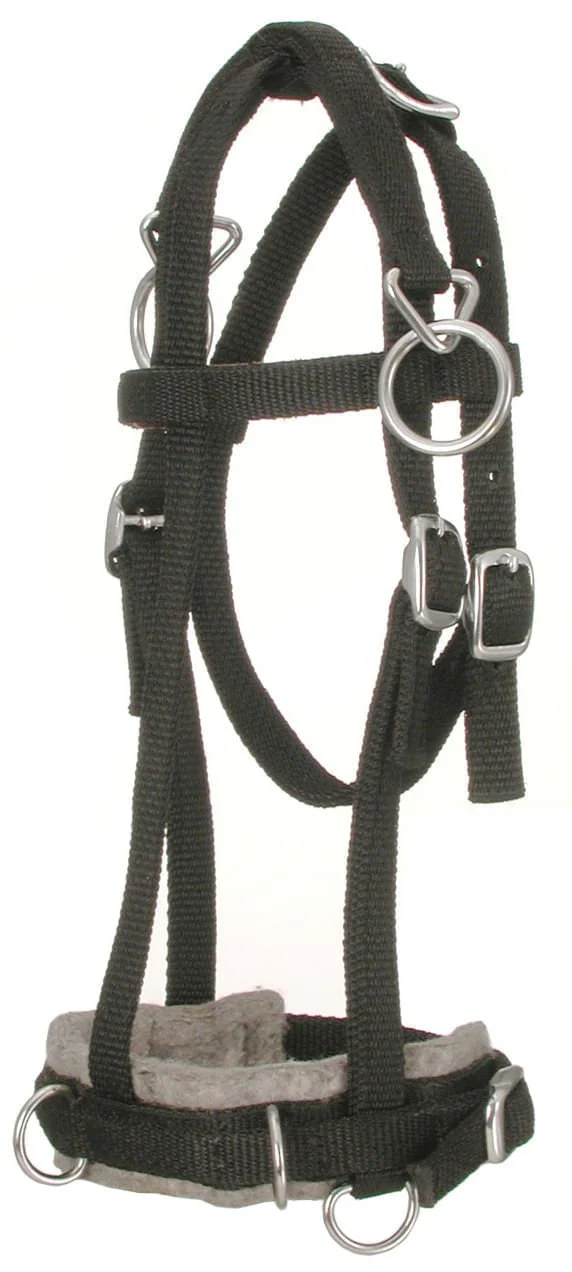 Miniature Horse Nylon Training Caveson, Brown - Healthber