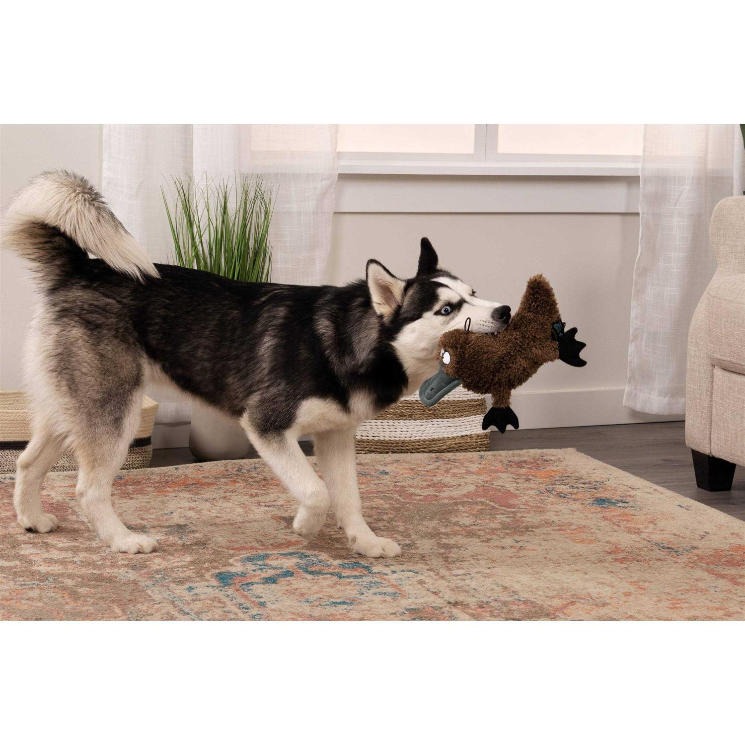 TrustyPup Platypus Dog Toy - Healthber