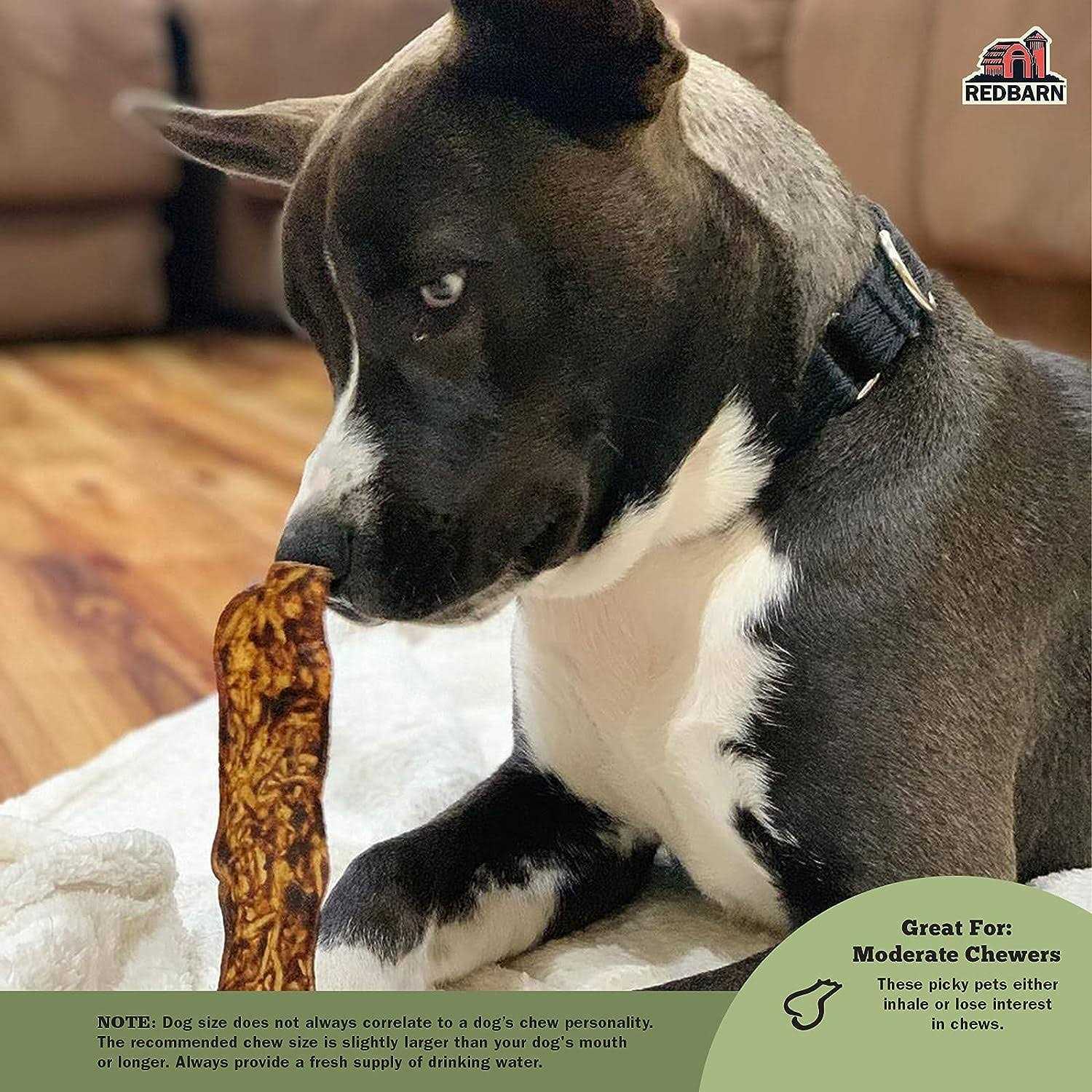 Redbarn Bully Slices Dog - Healthber