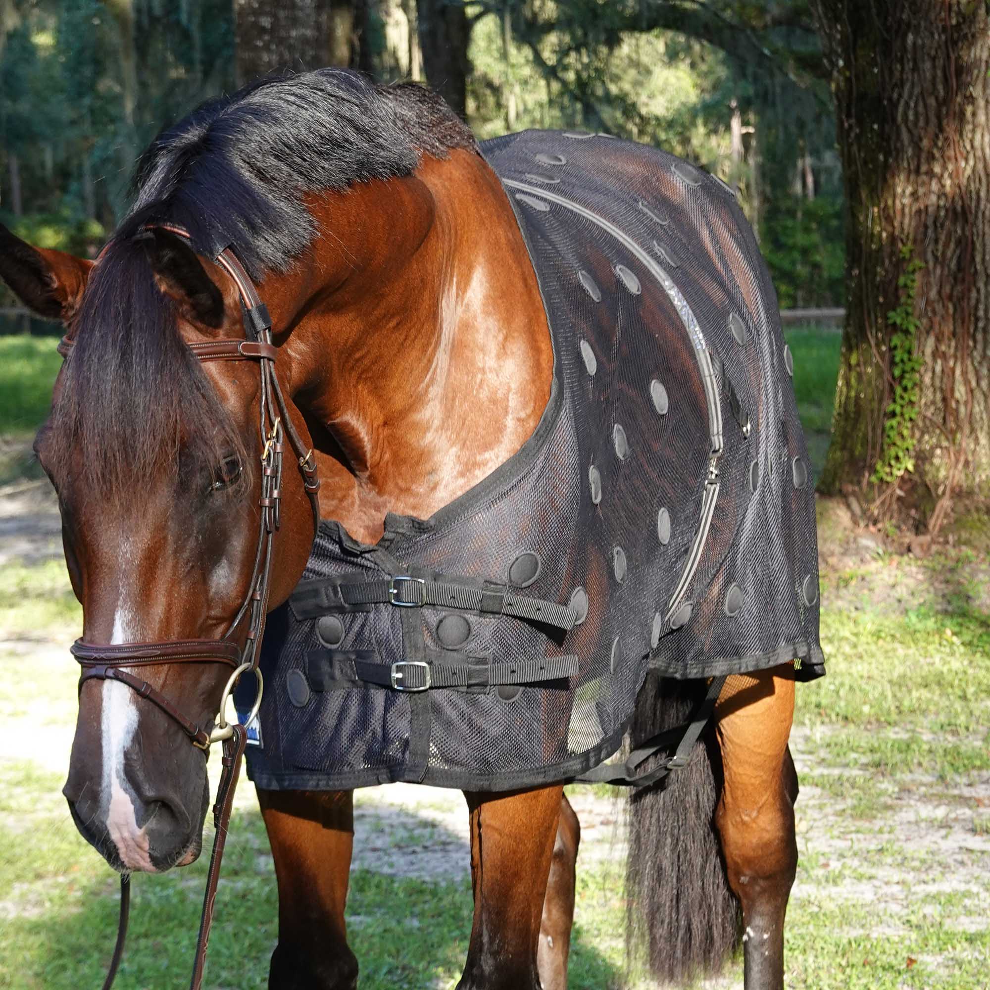 BeneFab Rejuvenate Magnetic Horse Therapy SmartScrim, Black - Healthber