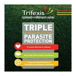 Trifexis for Dogs - Healthber