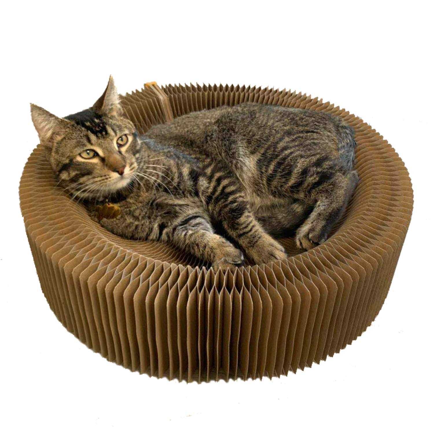 bobbypet cat scratcher lounge bed - Healthber