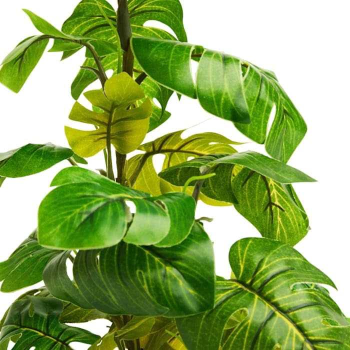 Imagitarium Stand Araceae Plant Terrarium Decor - Healthber