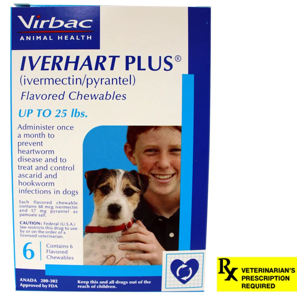 Rx Iverhart Plus (Ivermectin/ Pyrantel) Flavored Chewables for Dogs, 6 Month - Healthber