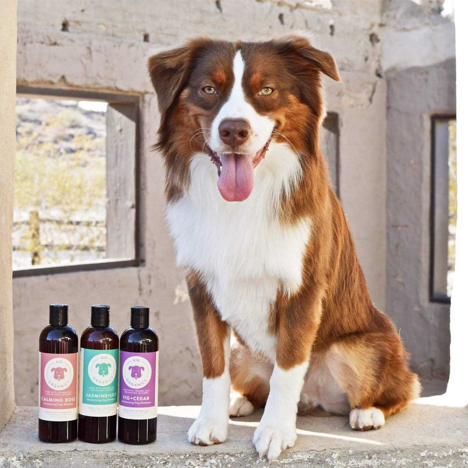 kin+kind Kin Organics Jasmine & Lily Dog Shampoo - Healthber