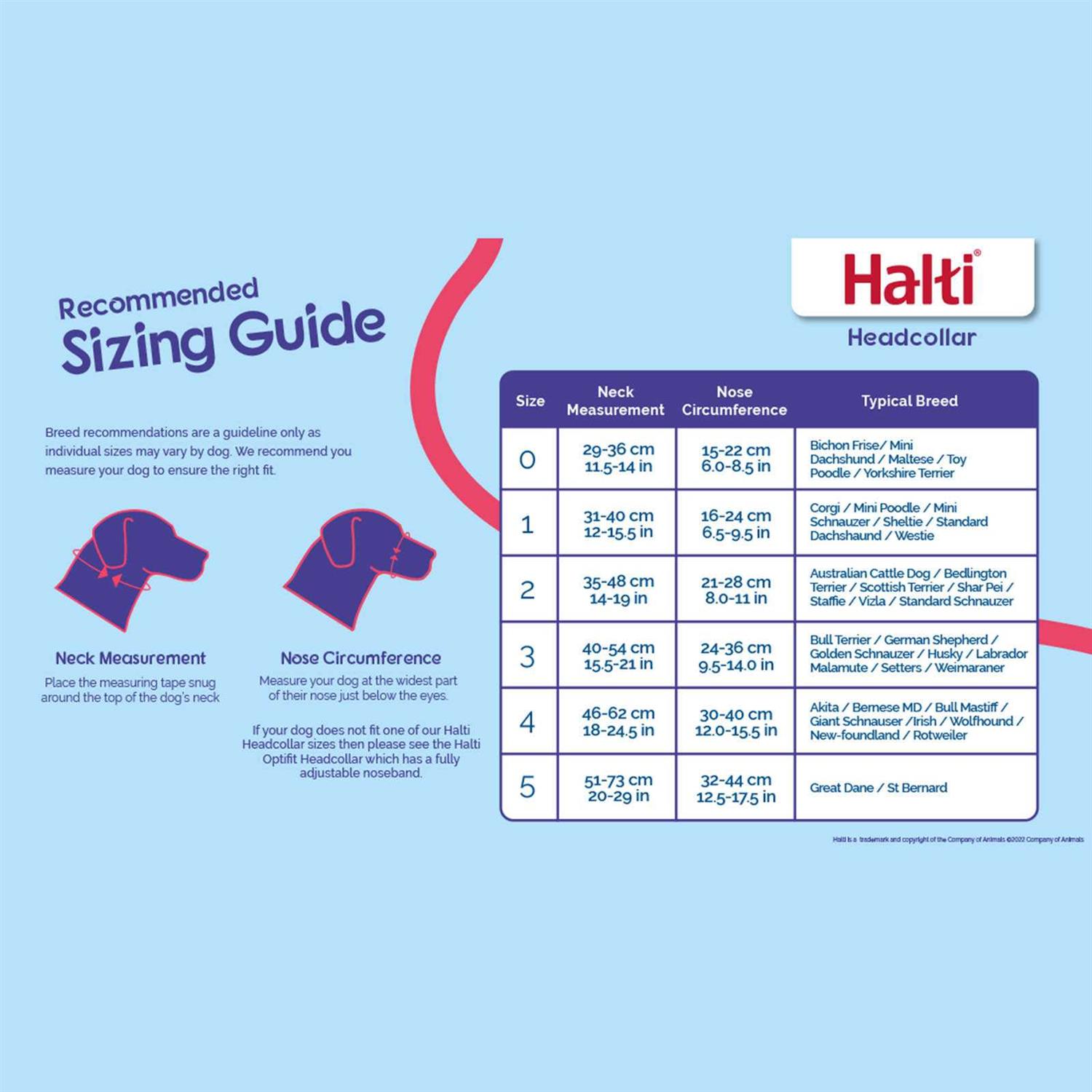 Halti Headcollar - Healthber