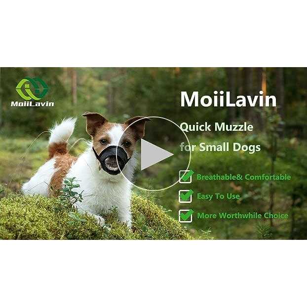 MoiiLavin Dog Muzzle XS Soft Air Mesh for Small Dogs with Long Snout Quick Fit for Grooming Adjustable Prevent from Biting Barking and - Healthber