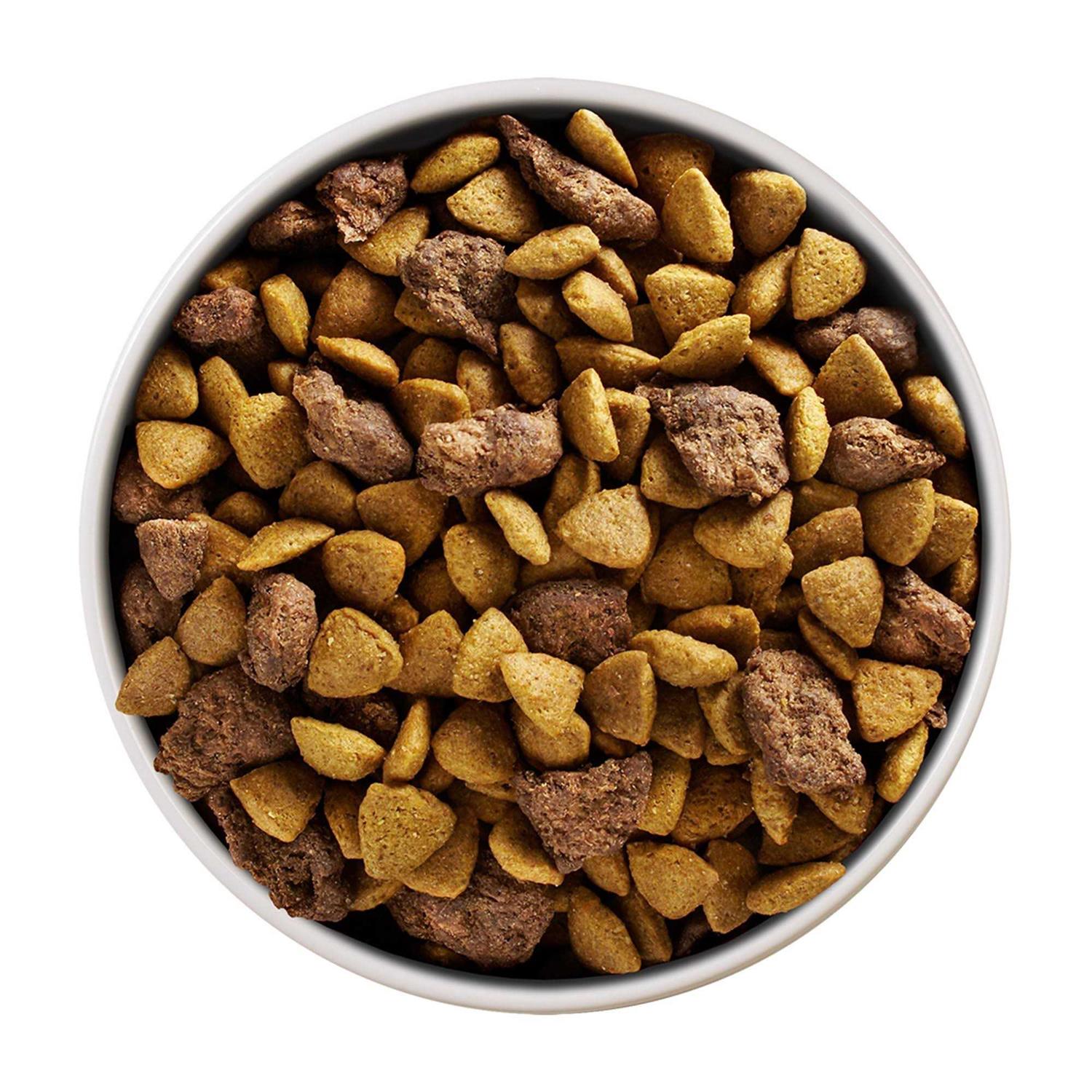 Purina ONE Plus Lamb & Rice Formula Small Breed Dry Dog Food - Healthber
