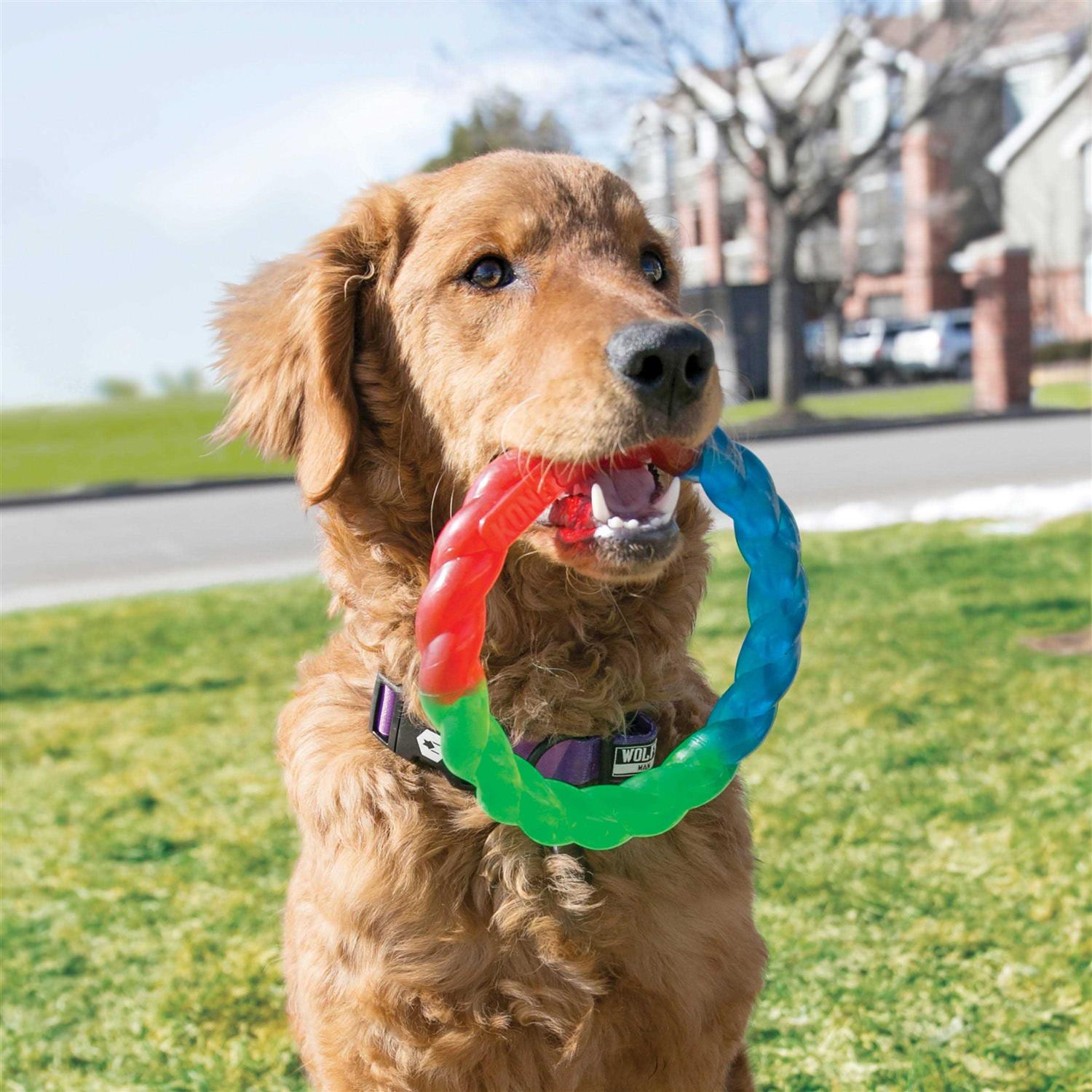 KONG Twistz Ball Dog Toy - Healthber