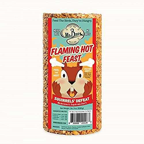 Mr. Bird Flaming Hot Feast Small Cylinder - Healthber