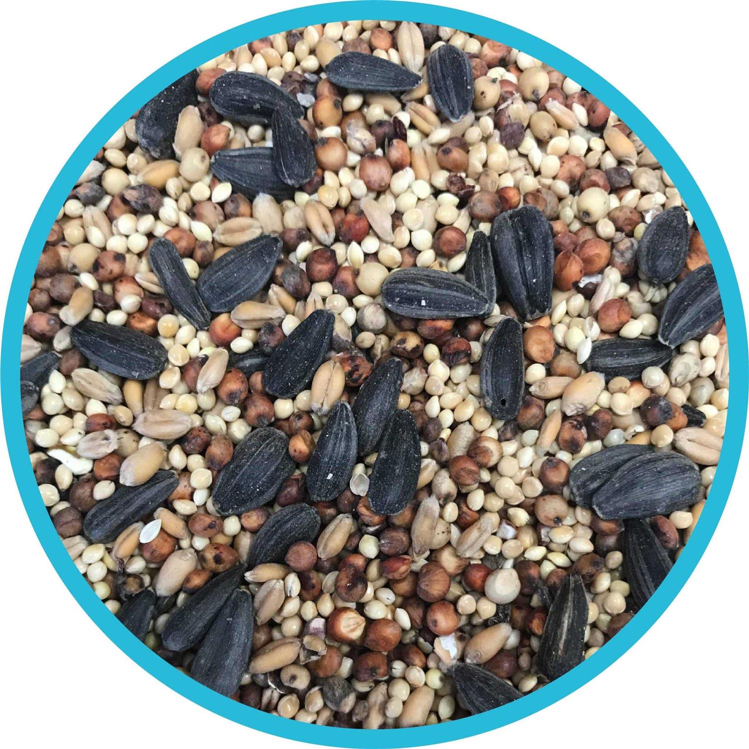 Pennington Classic Wild Bird Feed and Seed - Healthber