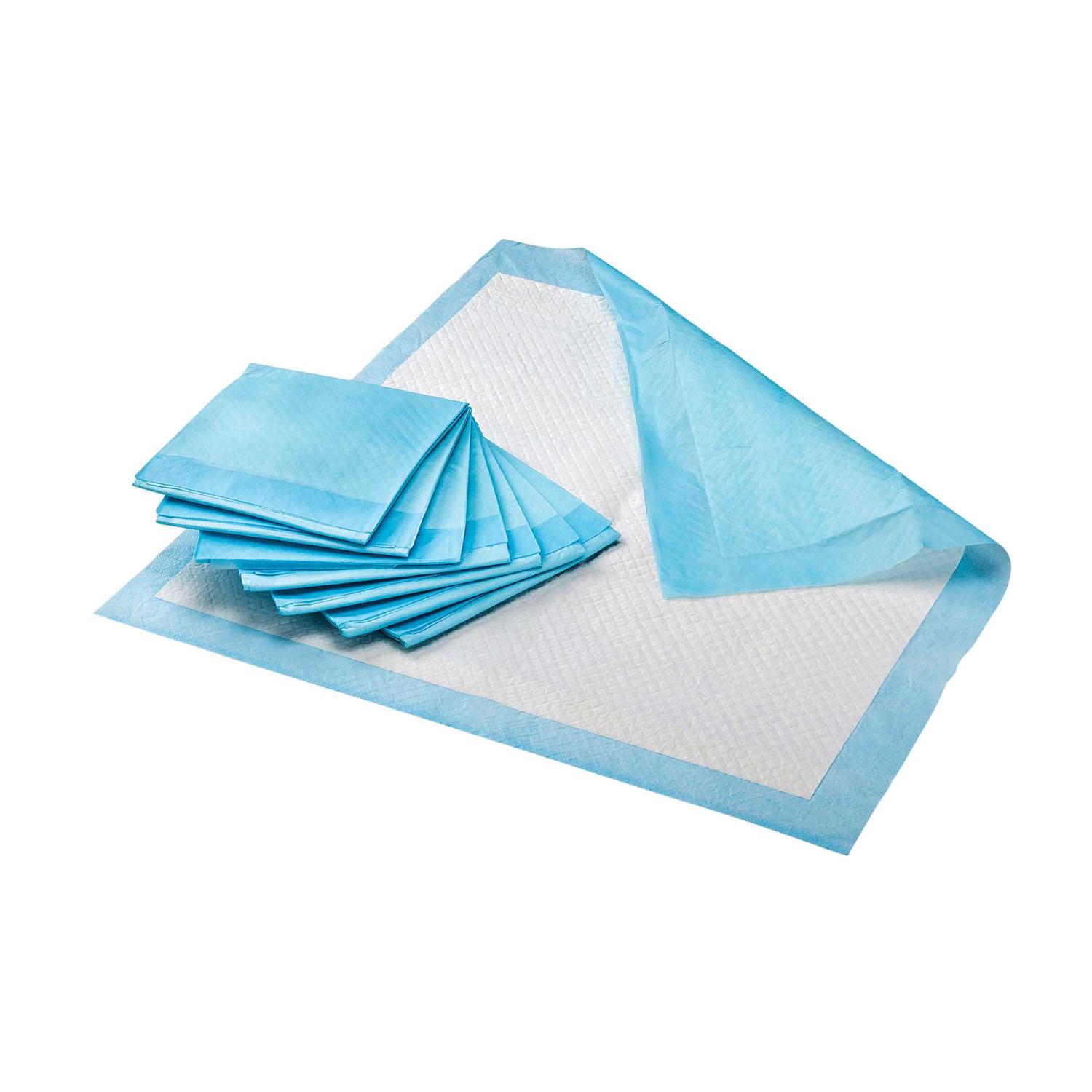Innovative Living Pet Potty Pads Value 100 Pack - Healthber