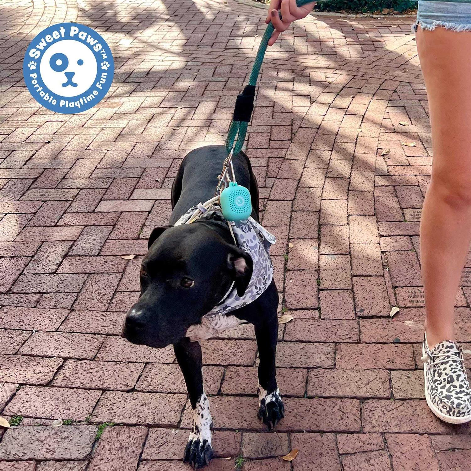 Sweet Paws Perfect Paws Portable Dog Towel - Healthber