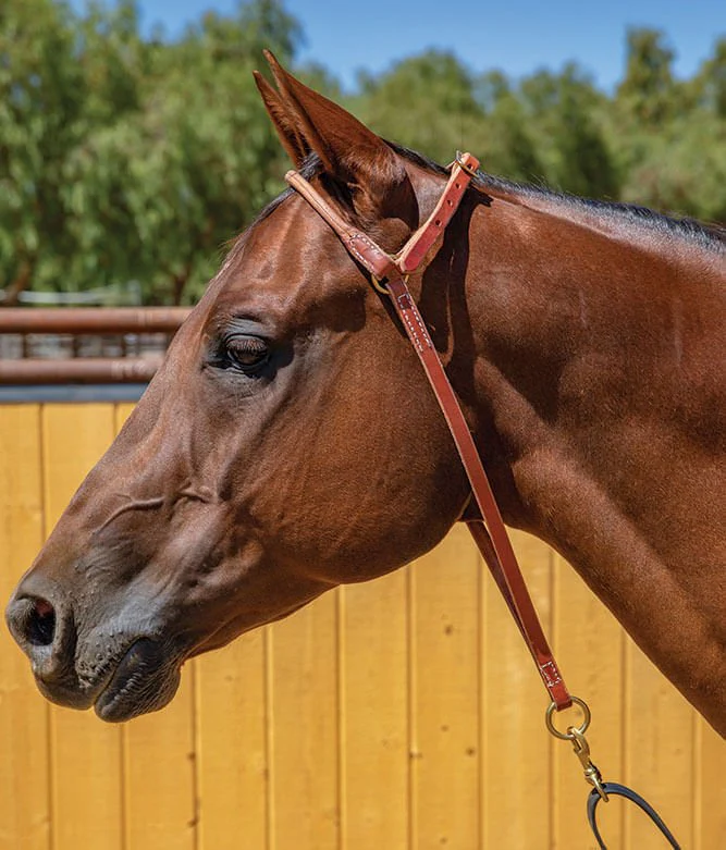 Professional's Choice Harness Leather War Bonnet - Healthber