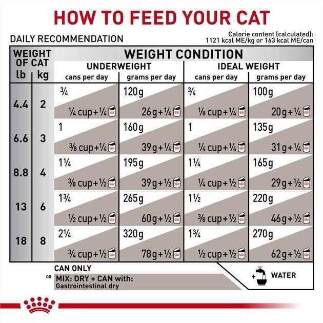 Royal Canin Veterinary Diet Adult Gastrointestinal Loaf in Sauce Canned Cat Food - Healthber