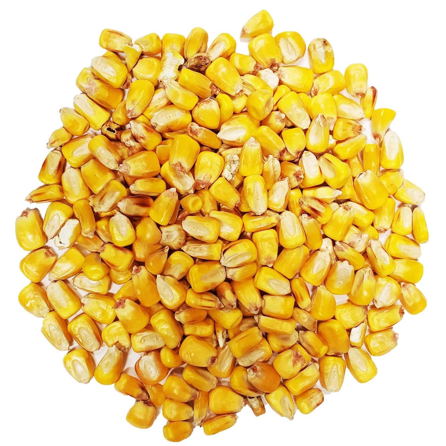 CountryMax Bulk Whole Corn for Wildlife Feeding - Healthber