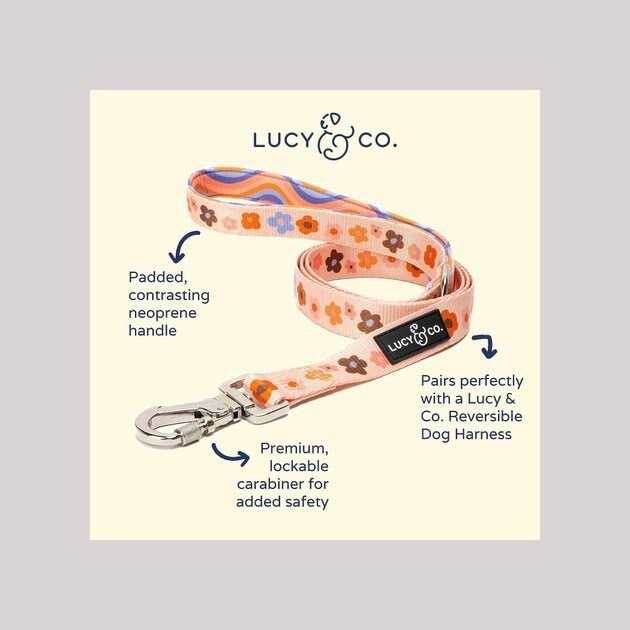 Lucy & Co Leash - Healthber