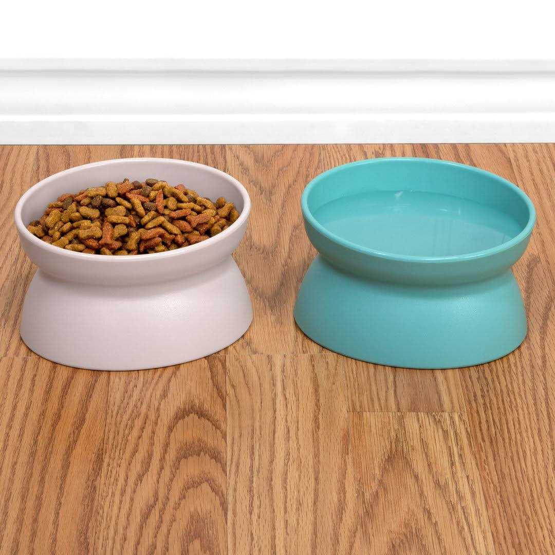 Kitty City Raised Cat Food Bowl Collection_Stress Free Pet Feeder and Waterer - Healthber