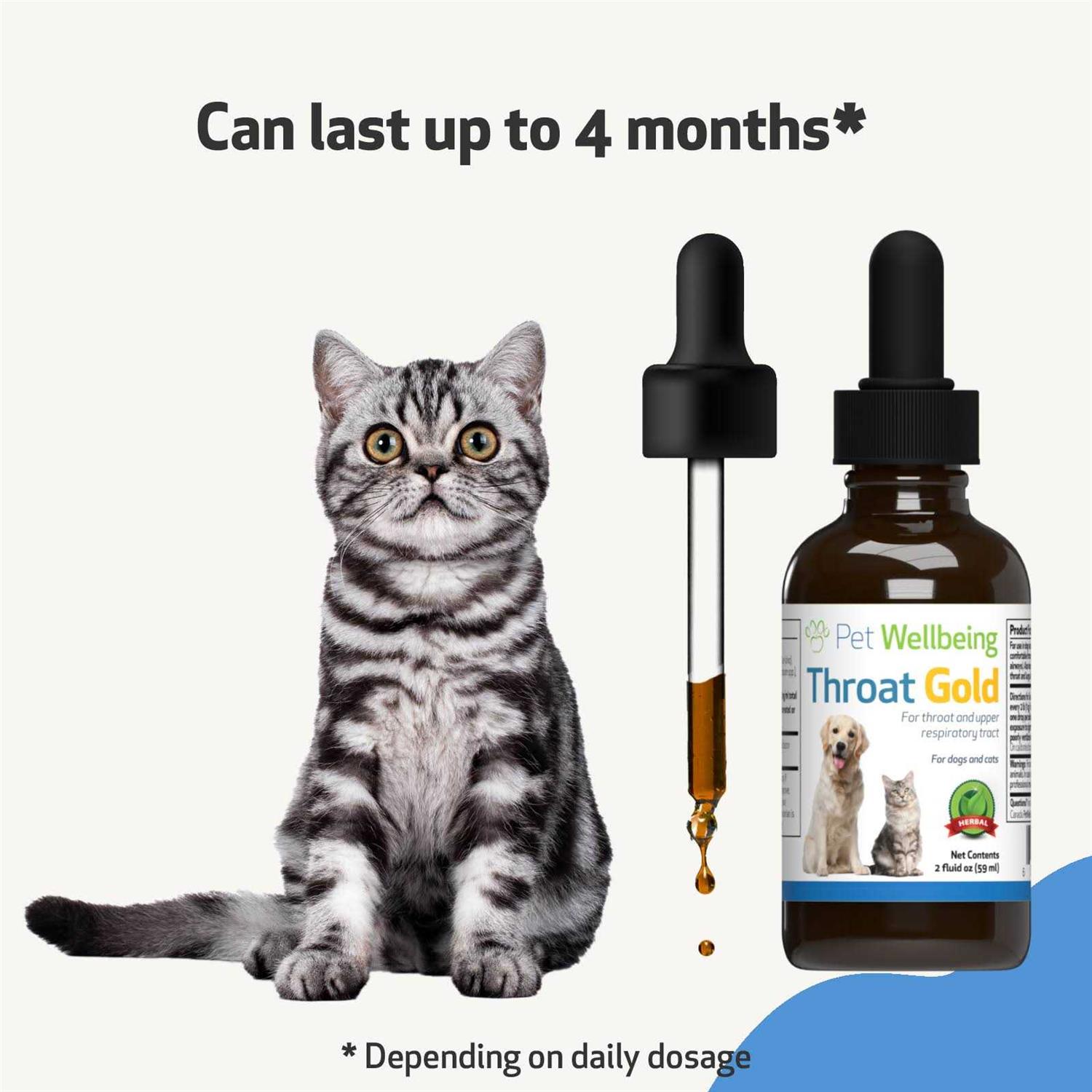 Pet Wellbeing Throat Gold for Dogs - Healthber